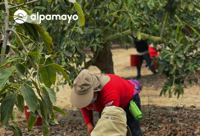 ¡Tu fuerza suma! Sé parte del flujo que mueve a la industria. ¡Revisa nuestras nuevas vacantes!
